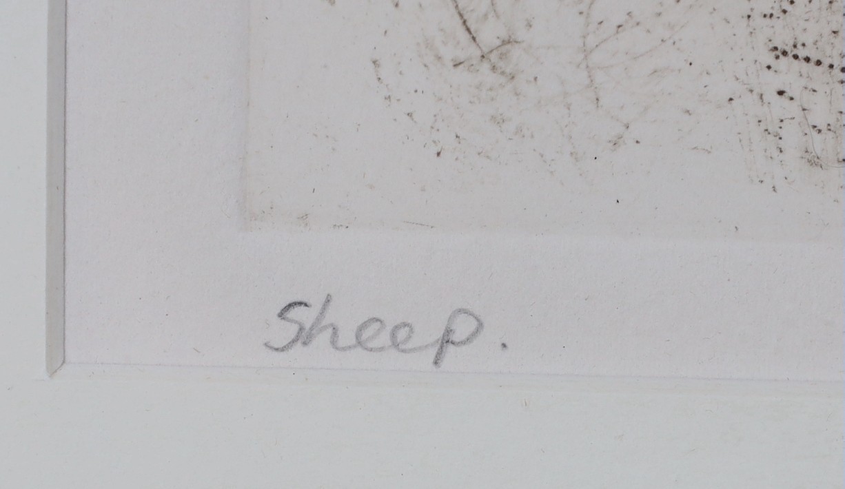 Sophie Mason (Contemporary), ‘Sheep’, signed and titled in pencil outside the plate, edition 5/50, 23 x 33cm